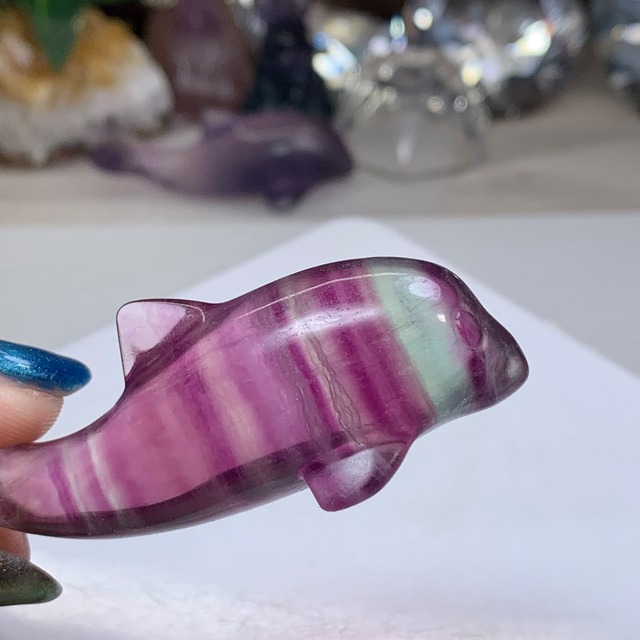 8.癒☆可愛いフローライトイルカさん