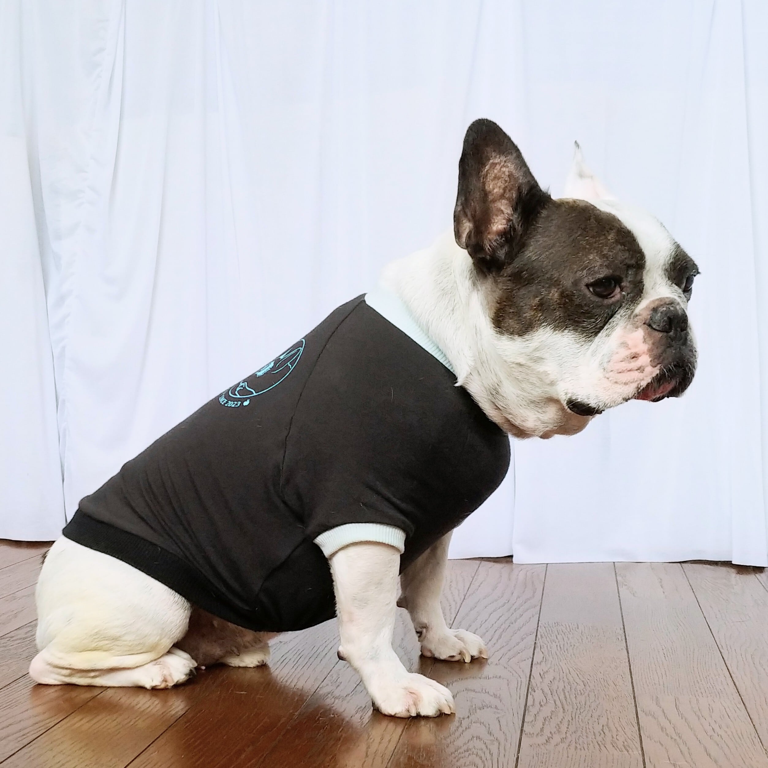 犬服 iggy フレブル用 Lsize 犬服 iggy フレブル用 Lsize