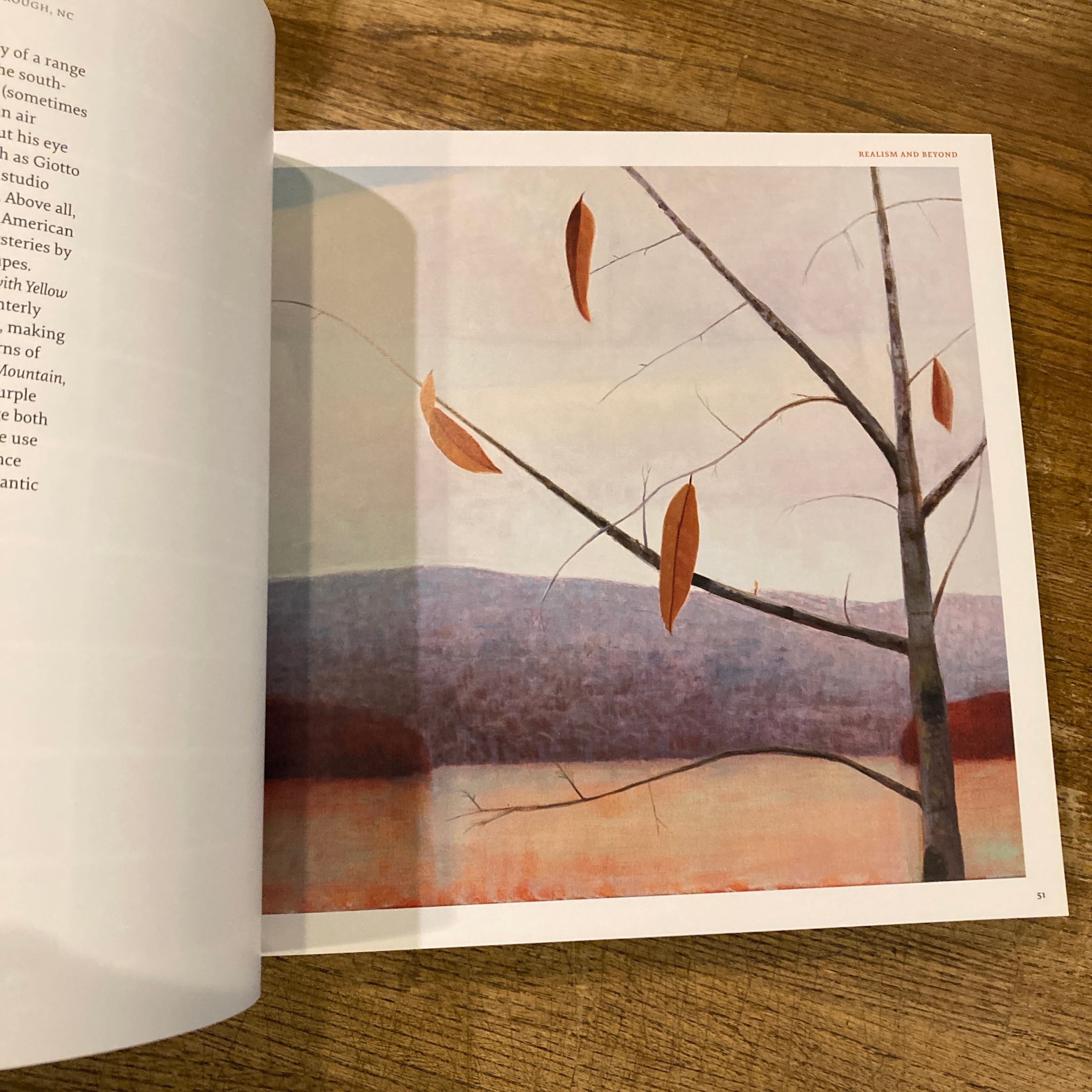 LANDSCAPE PAINTING NOW From Pop Abstraction to New Romanticism | 百年