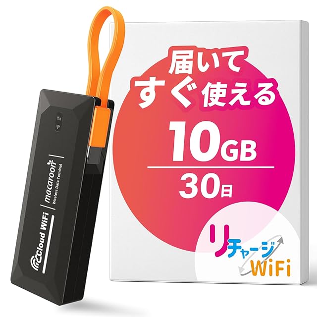 USB型 ポケットWiFi [365チャージWiFi] 車載 100GB 365チャージWiFi
