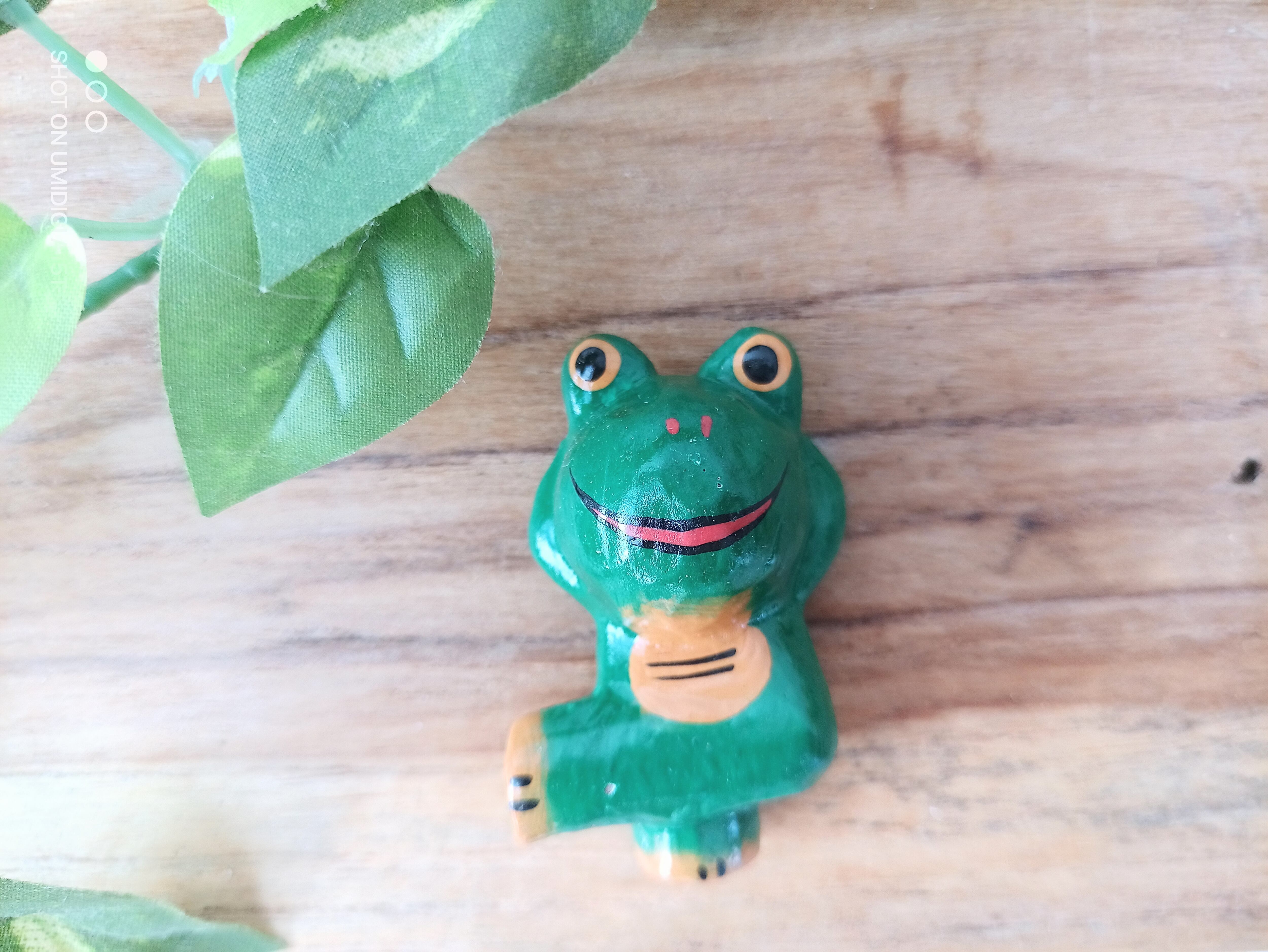 くつろぎカエル | Pay ID