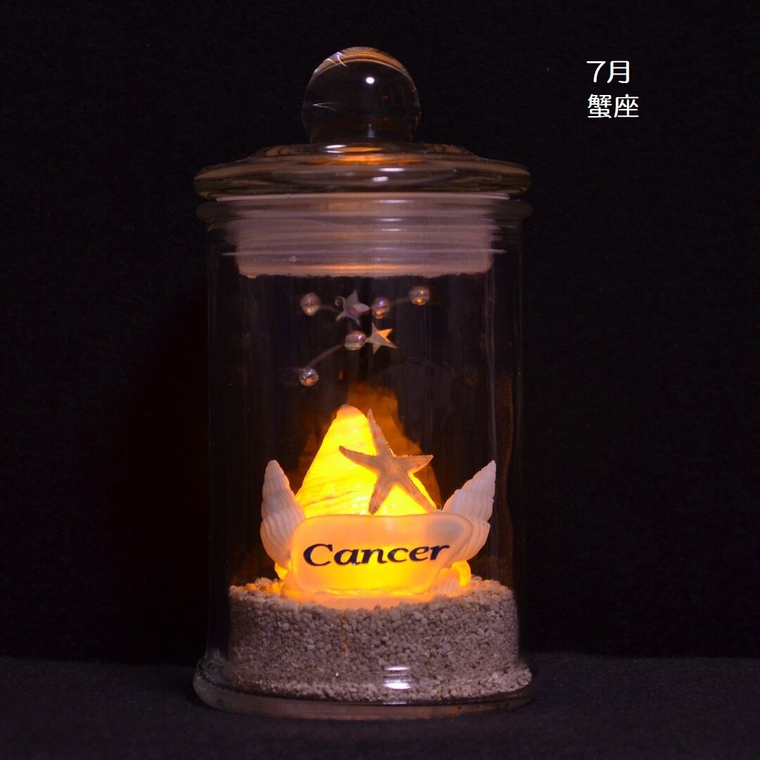 星座シェルランプ（7月 蟹座 Cancer）