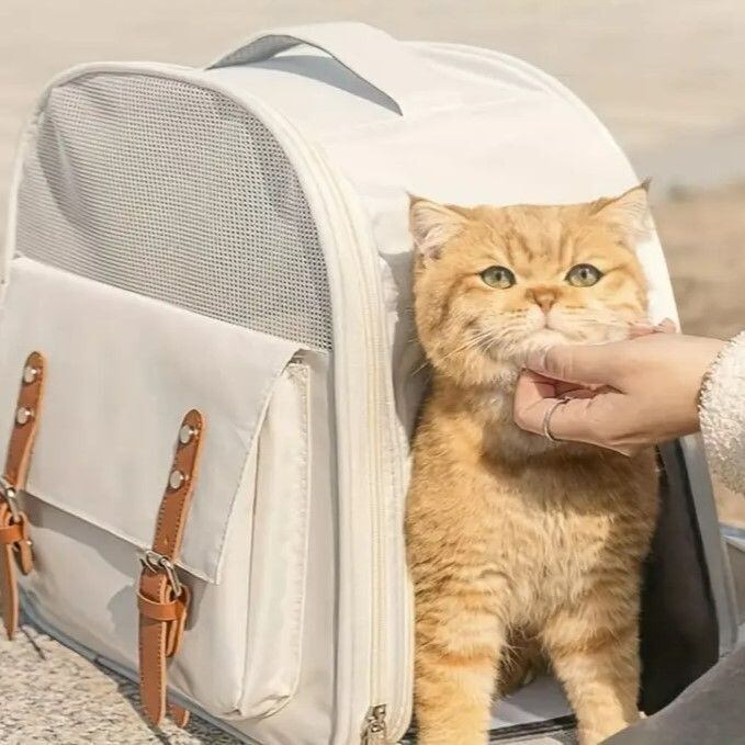 犬と猫のためのペットキャリア,通気性,ポータブル,旅行用,屋外散歩用,huahua用