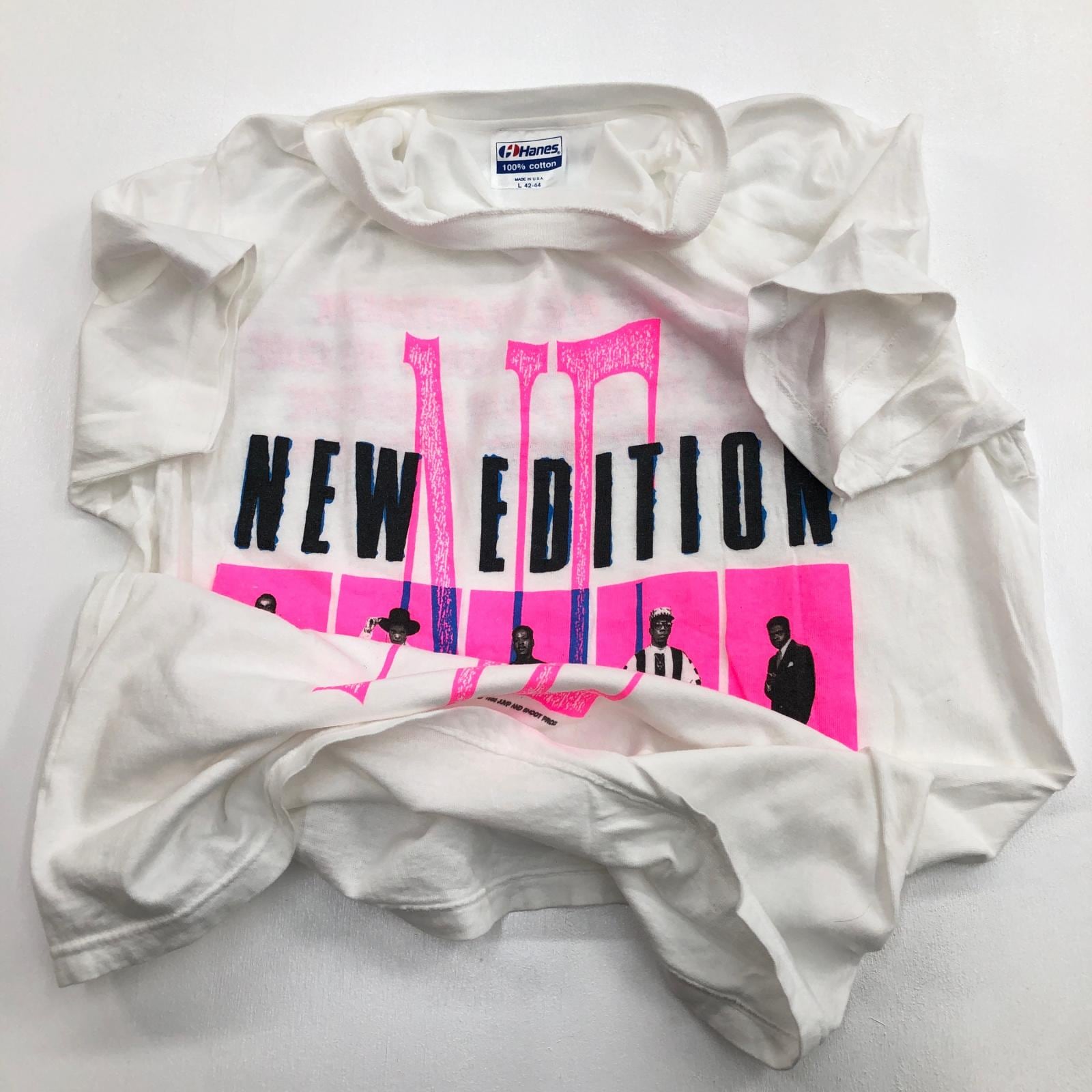 Hanes ヘインズ 半袖Tシャツ 80年代 NEW EDITTION ニューエディション