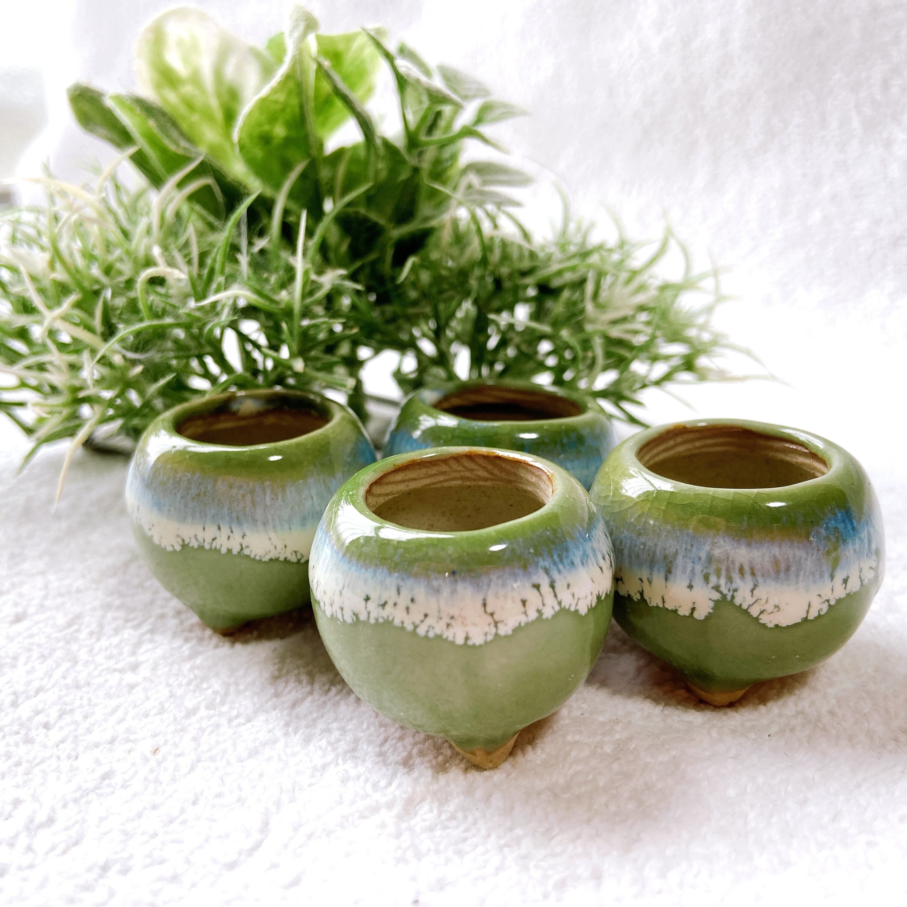 お得4点セット！ 大人気の緑色 マルッとした形のかわいい陶器植木鉢