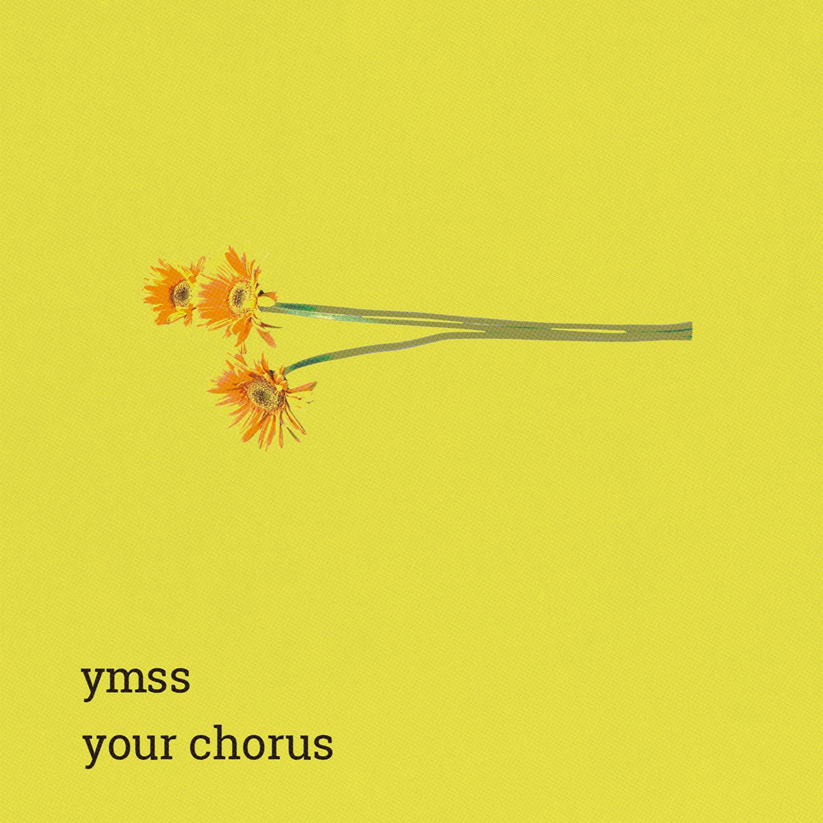 CD+LP+おまけset】ymss『Your Chorus』 | けのびレーベル