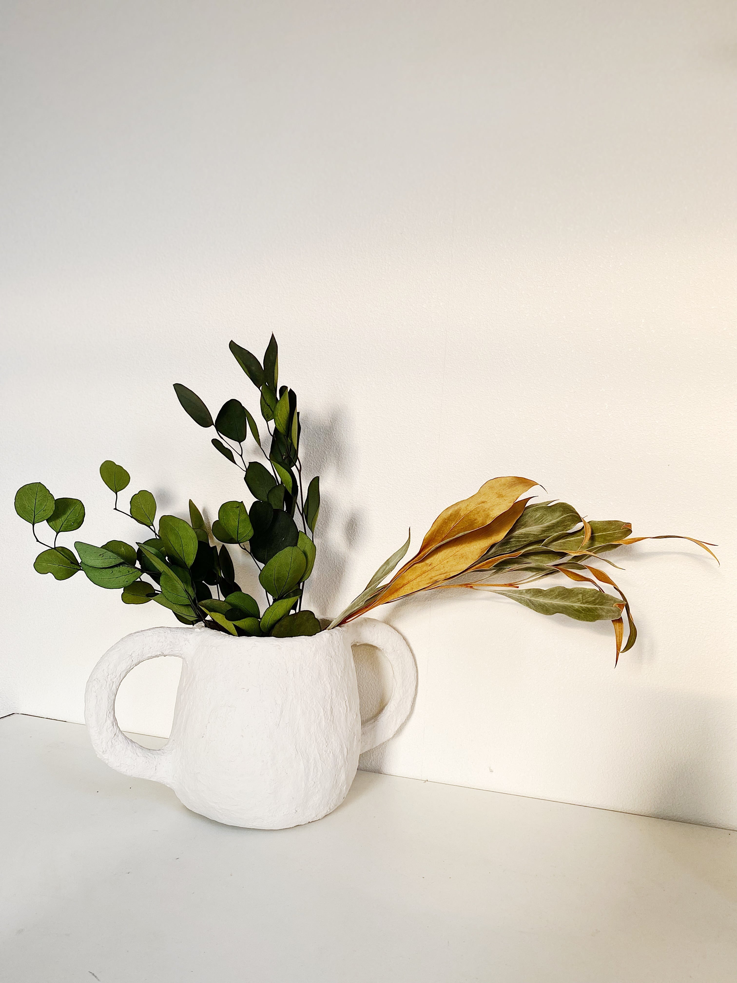 SERAX(セラックス) サボテンベース 思わず微笑んでしまう、遊び心の