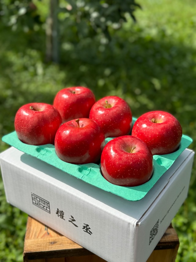 葉取らず早生ふじ家庭用　2kg