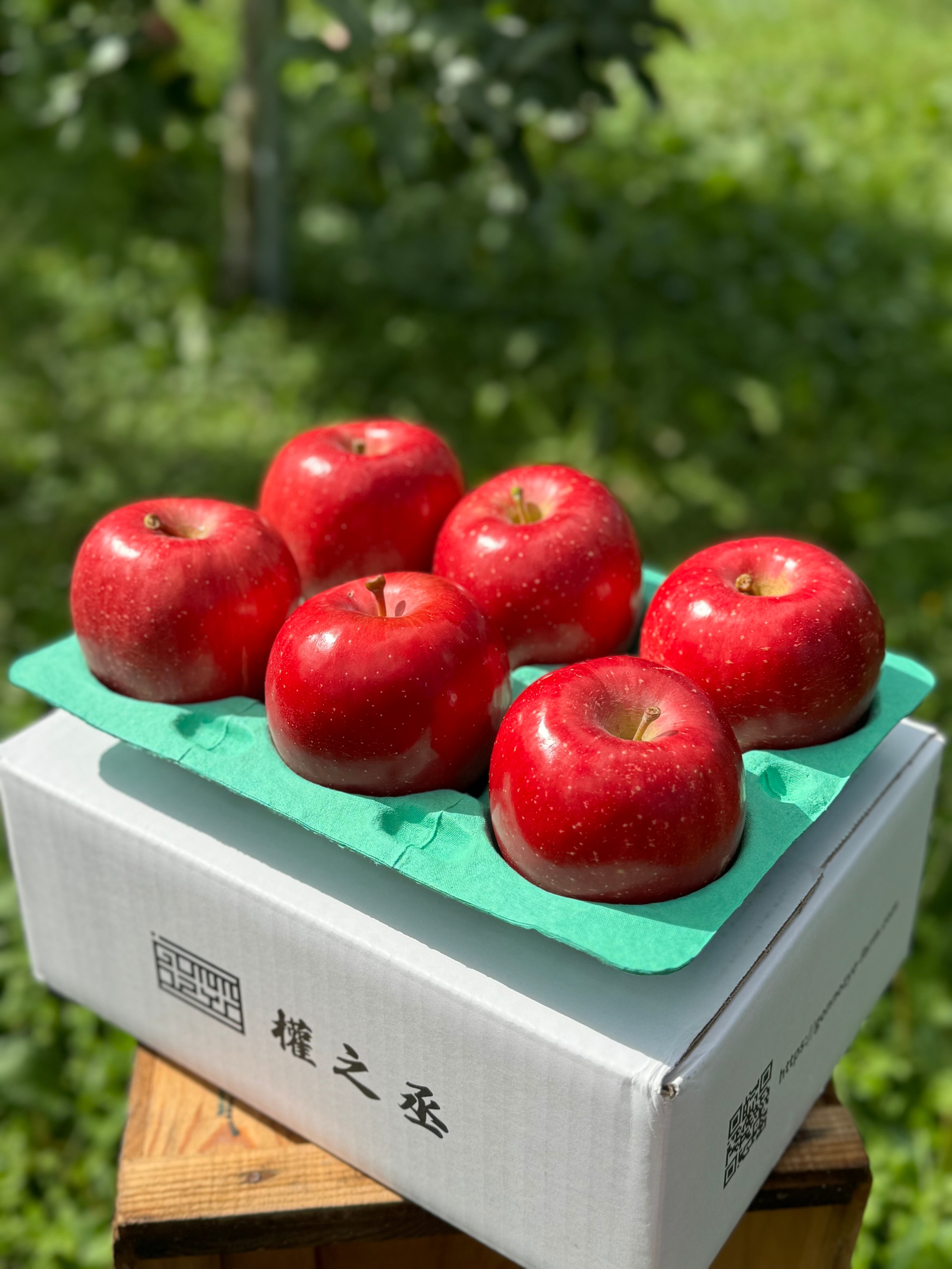 葉取らず早生ふじ家庭用　2kg