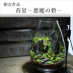 苔景−悪魔の砦−【苔テラリウム・現物限定販売】2022.1.18＃5