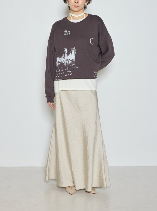 【ご予約】[2865-338MK] ｼｬｲﾆｰﾏｰﾒｲﾄﾞSK【Chignon】