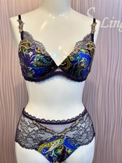 デンテルカシュメル モールドカップブラジャー リズシャルメル