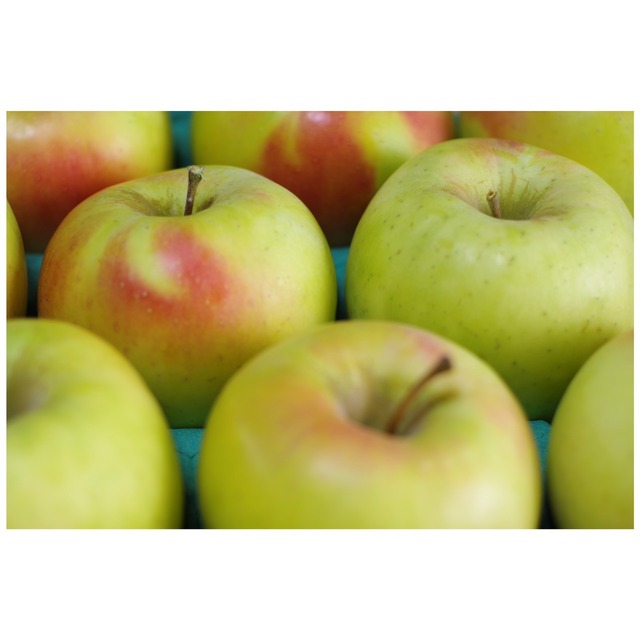 ぐんま名月 １０ｋｇ