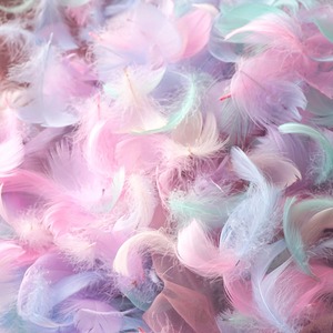 【新着特価】羽シャワー フェザーシャワー 羽 たっぷり 200枚 羽根 たっぷり 幻のマカロンの羽 飾りフェザー ウェディング 結婚式 誕生日 イベント パーティー 手芸材料 DIY装飾小物 彩色