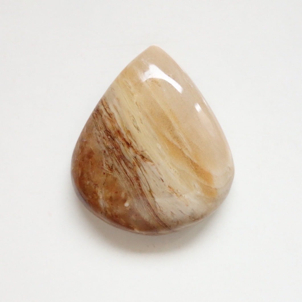 ミャンマー産 ウッドカルセドニー(ペトリファイドウッド)ルース ミャンマー産 ウッドカルセドニー(ペトリファイドウッド)ルース