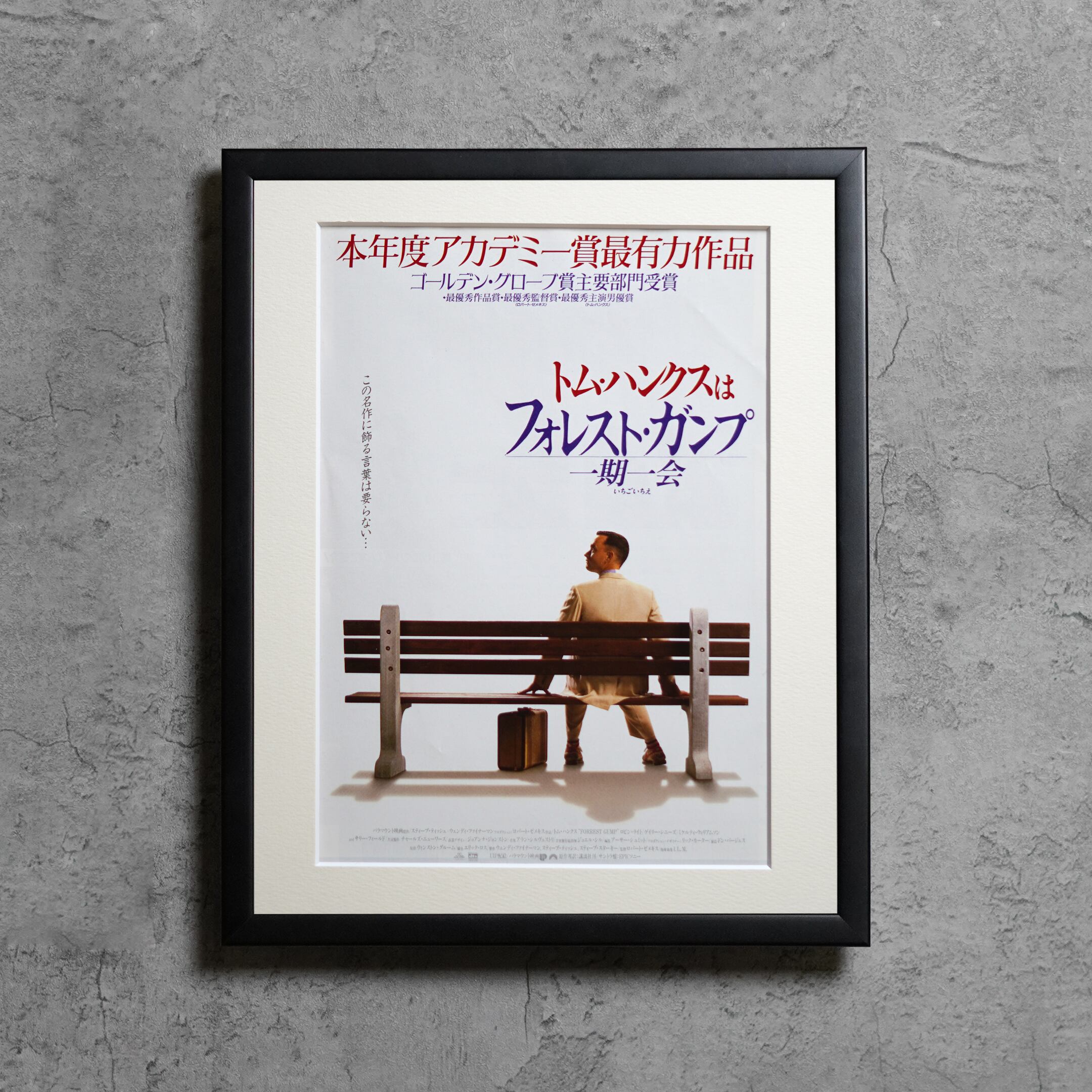 1994 /フォレスト・ガンプ/一期一会 / JP original flyer / 260x321mm【FY00000139025】
