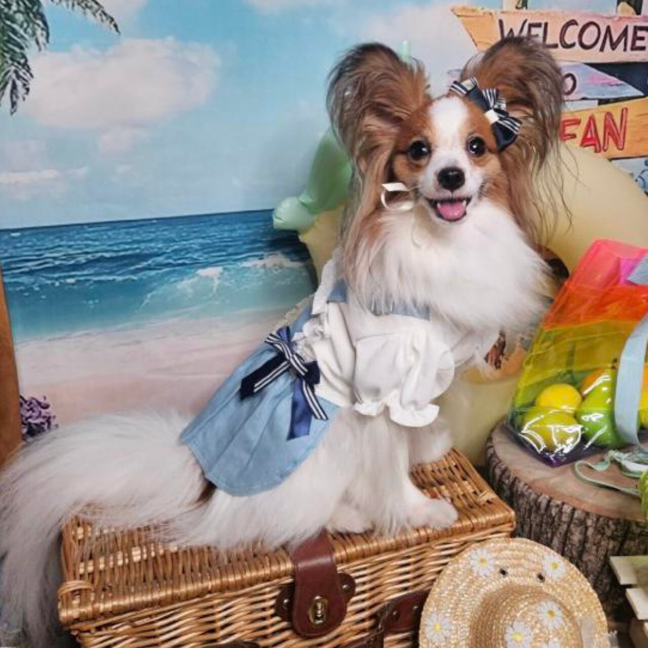 ストライプリボンワンピ♡0047