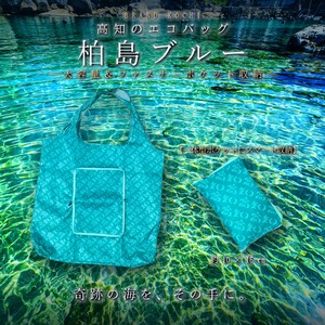 高知のエコバッグ 柏島ブルー ファスナータイプ