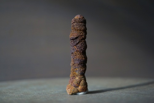 リモナイト Goethite var. Limonite 1553