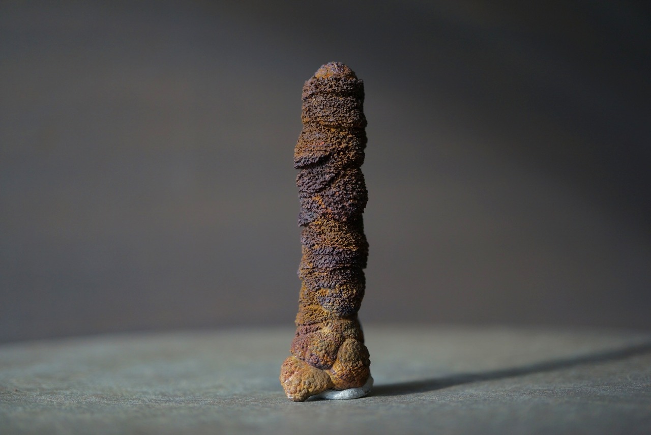 リモナイト Goethite var. Limonite 1553