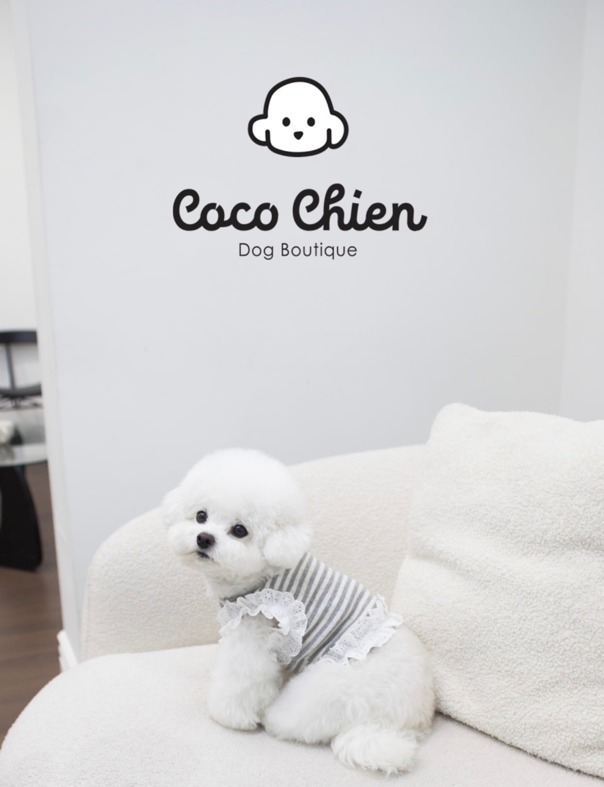 【Cocm Chien 】ペペクロップ