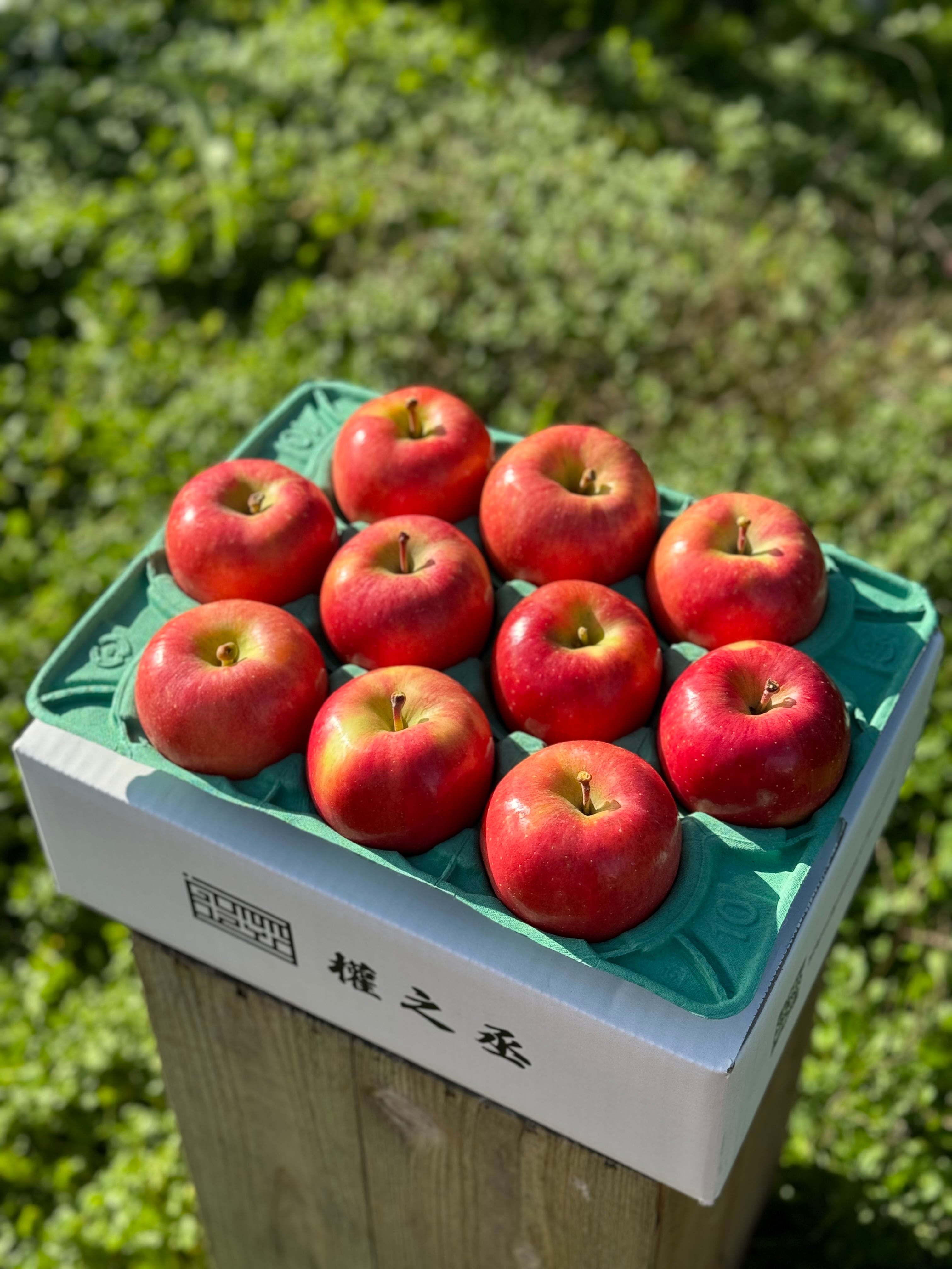 葉とらず高徳　家庭用3kg