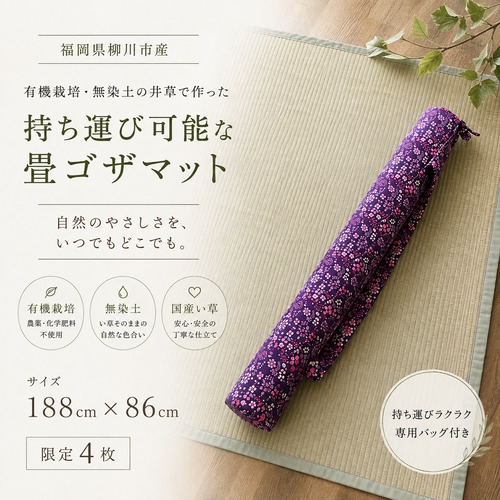 【送料無料】畳ござマット（持ち運びバッグプレゼント）