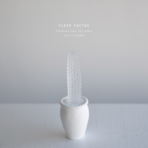 clear cactus　ヒルデウィンテラー