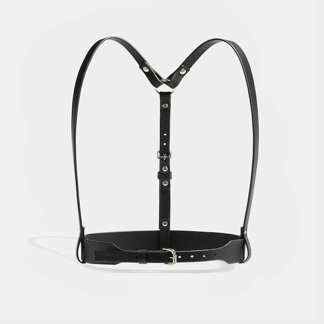 FLEET ILYA   simple classic harness