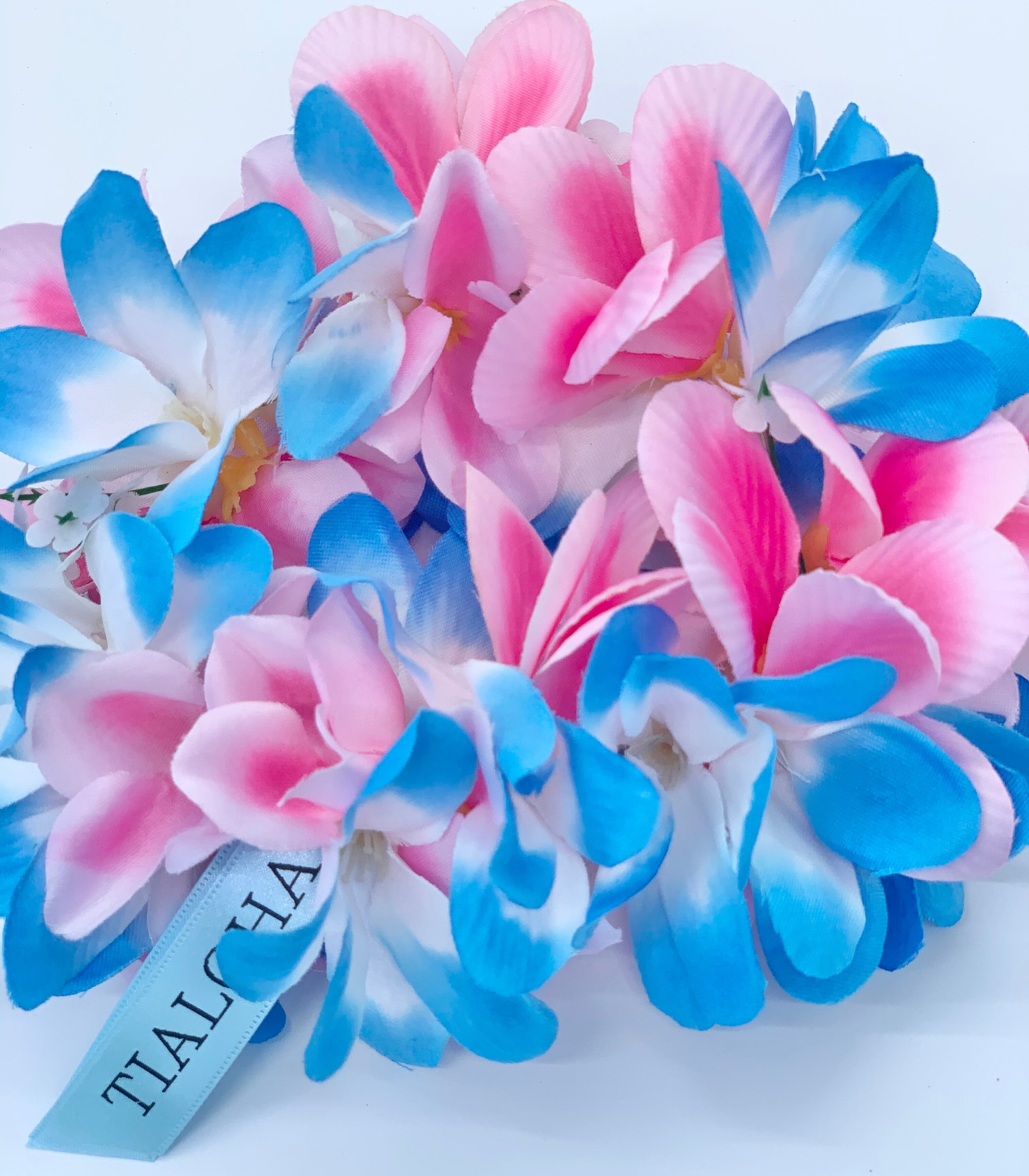 大型犬猫L 限定ティアラ