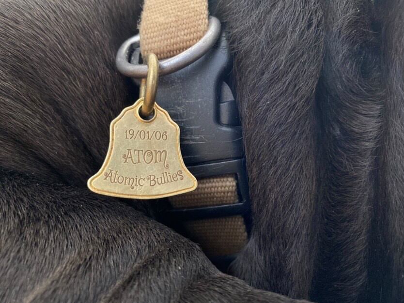 オリジナル/ベル型ドッグタグ/真鍮/ブラス (名入れ致します