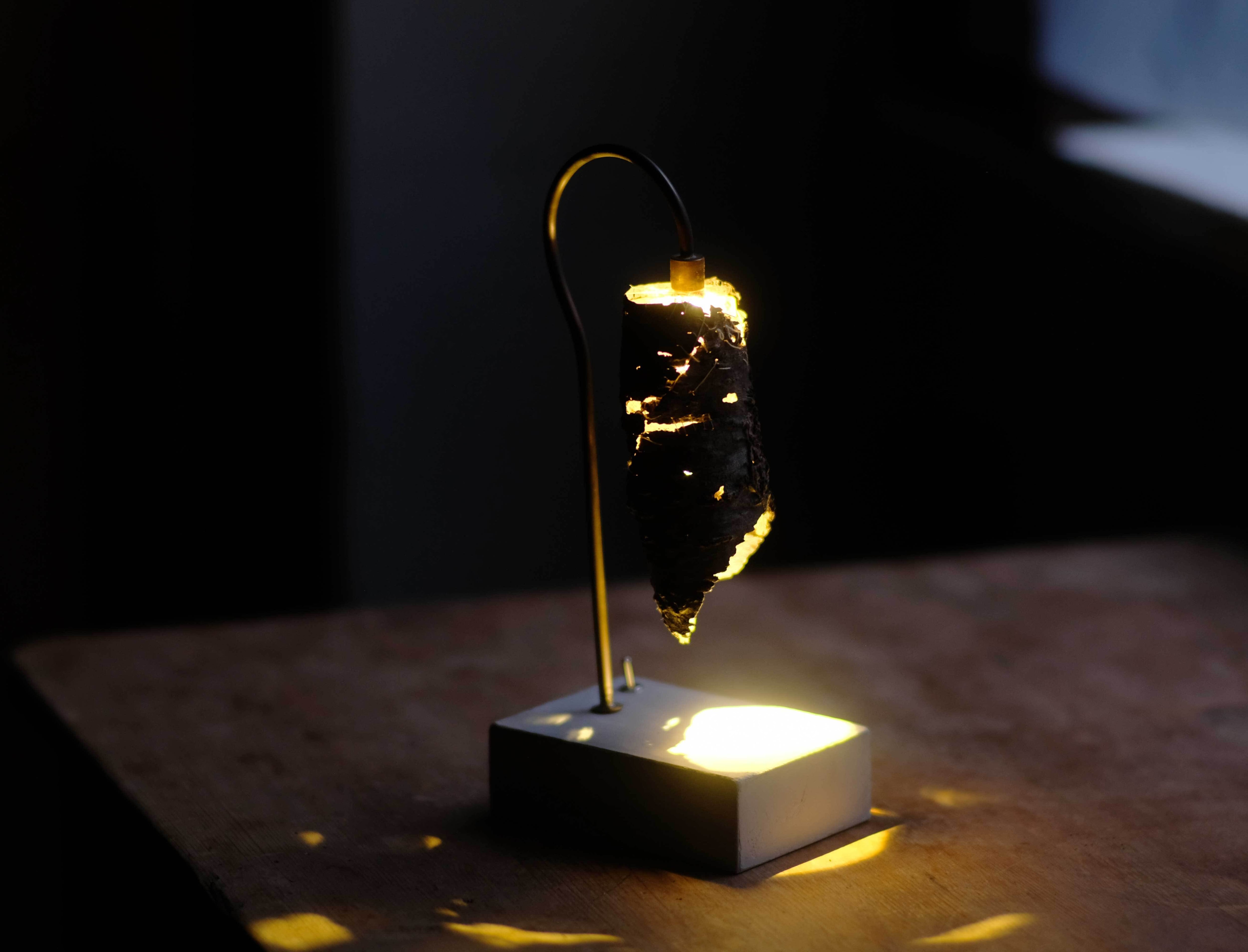 LAMP/照明・ランプ | はいいろオオカミ＋花屋西別府商店