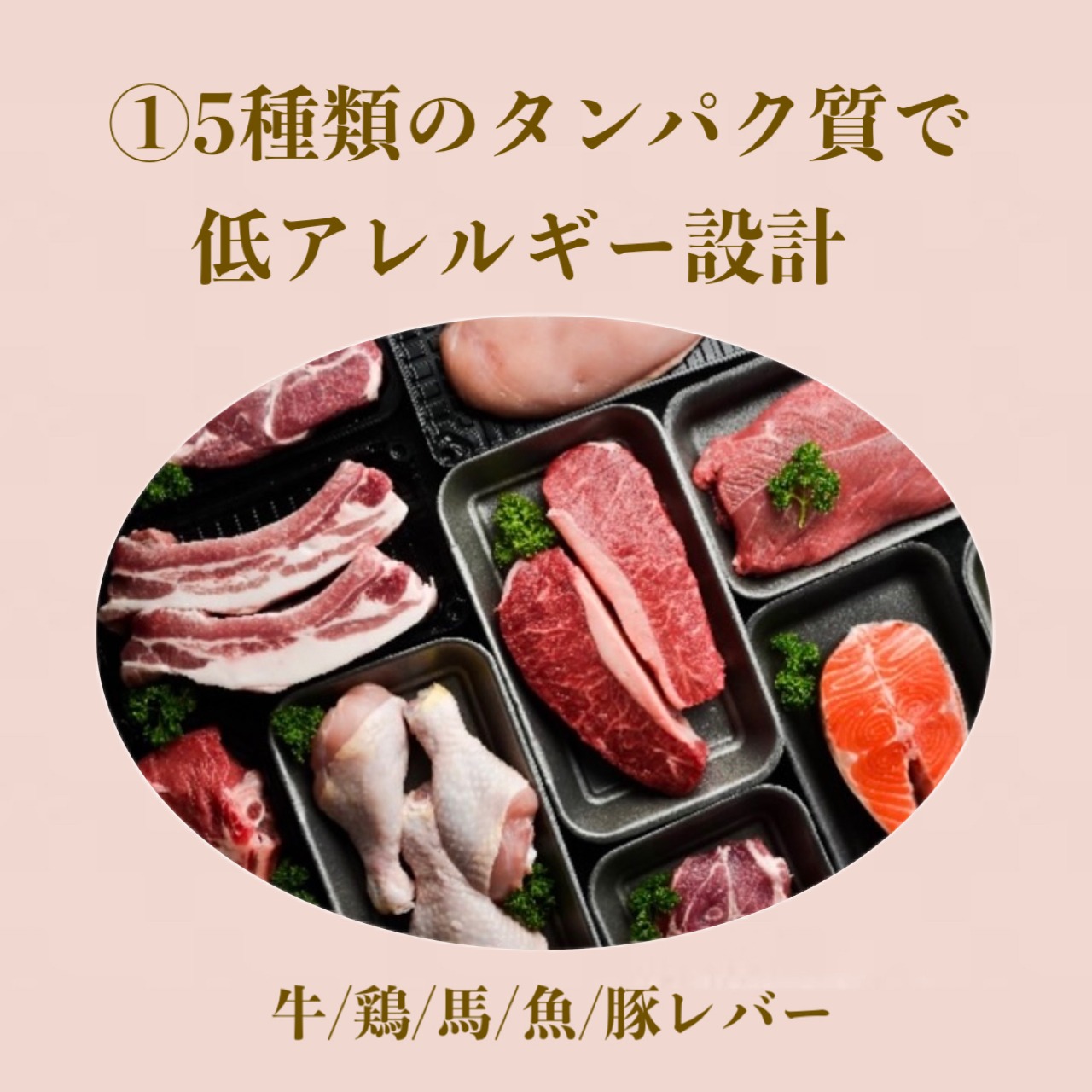 DeliciousWan 800g 3個セット