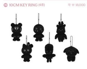 RIIZE PHOTO EXHIBITION [Silence: Inside the Fame] MD -preorder-  ⑲10CM KEY RING