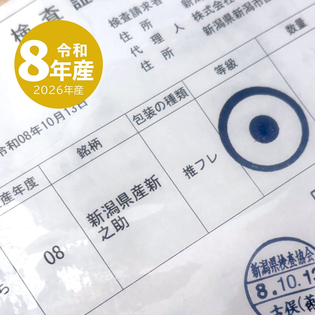 新米入荷】 新潟産 新之助 10kg 一等米 令和8年産 送料無料 沖縄のぞく