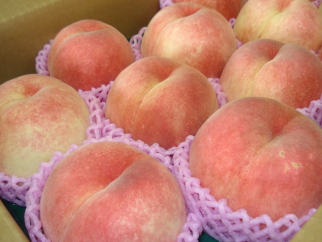 【桃】あぶくま ３㎏（8ｰ10個） ＜ 8月下旬～9月初旬頃の限定品♬＞ Peach "Abukuma"