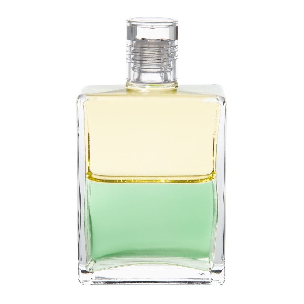 Aura-Soma®︎イクイリブリアムボトル60-79 | in the rainbow online shop