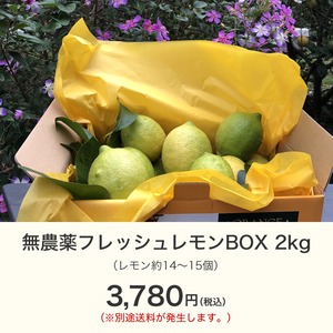 無農薬フレッシュレモンBOX 2kg【4月中旬〜下旬収穫予定分】