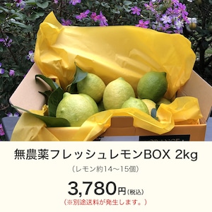 無農薬フレッシュレモンBOX 2kg【3月上旬〜中旬収穫予定分】