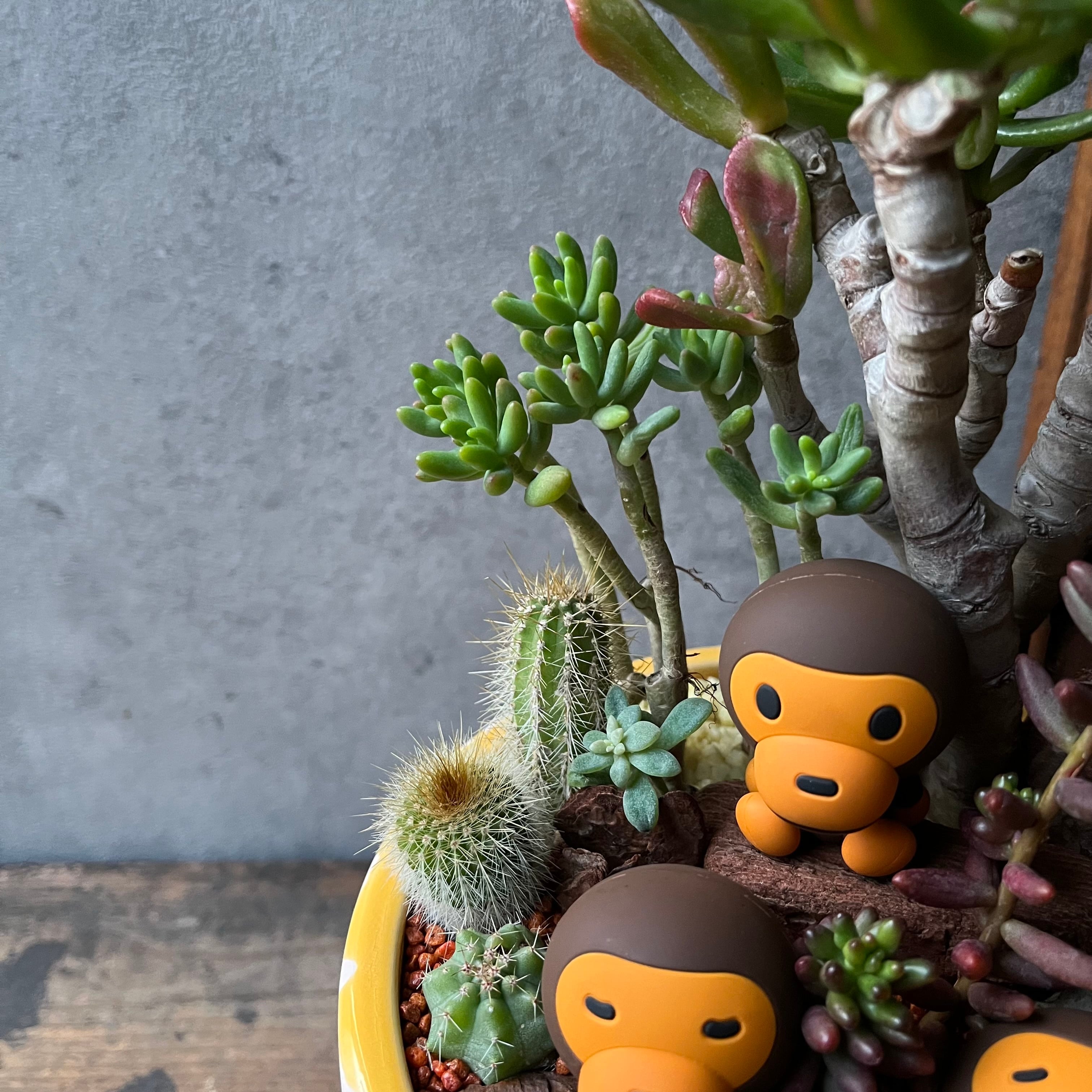 ゴリラさん専用 ゴリラさん専用 ゴリラさん専用 【公式通販】 ゴリラ