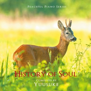 【予約割引】CDアルバム「History of Soul」-Peaceful Piano Series-／Yuusuke