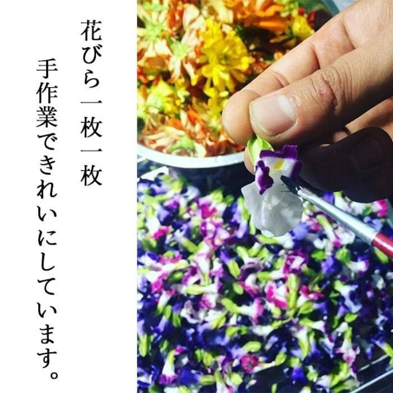 【87farm】A Happy Flower TEA 幸せの花茶 食べられるお花の紅茶