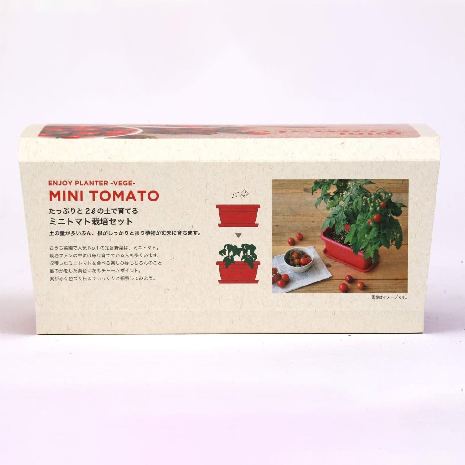 家庭菜園セット、ご予約承ります。 在庫処分】聖新陶芸 冬 / 春 / 夏の 家庭菜園 簡単 栽培キット