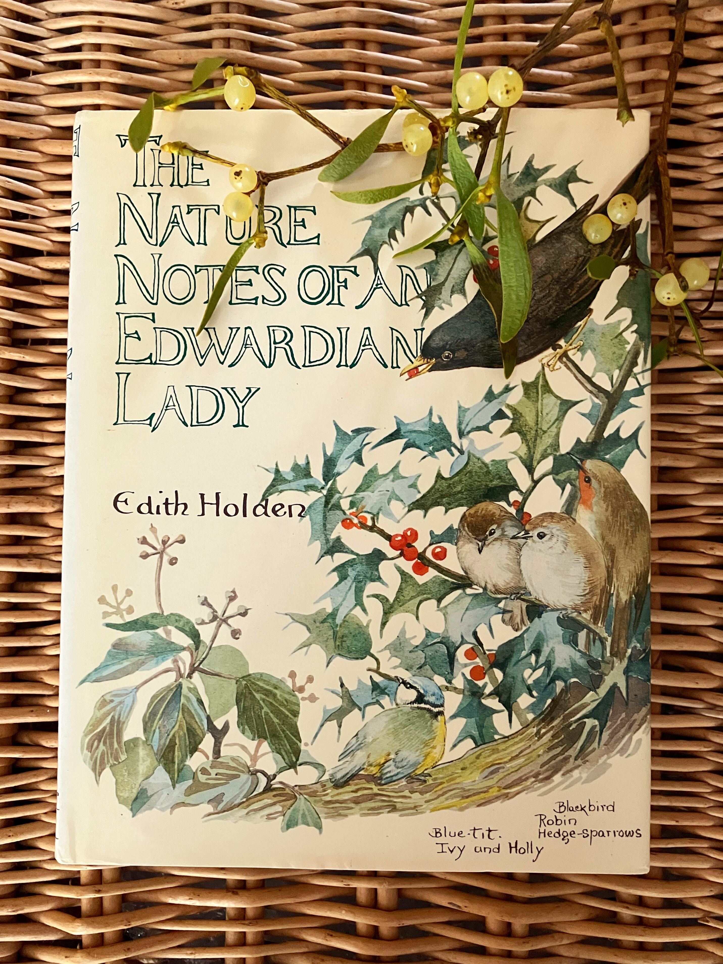 植物図鑑　洋書　チェコ植物図鑑　ボタニカルアート ボタニカルアート本 洋書 植物図鑑 洋書 チェコ植物図鑑 ボタニカル