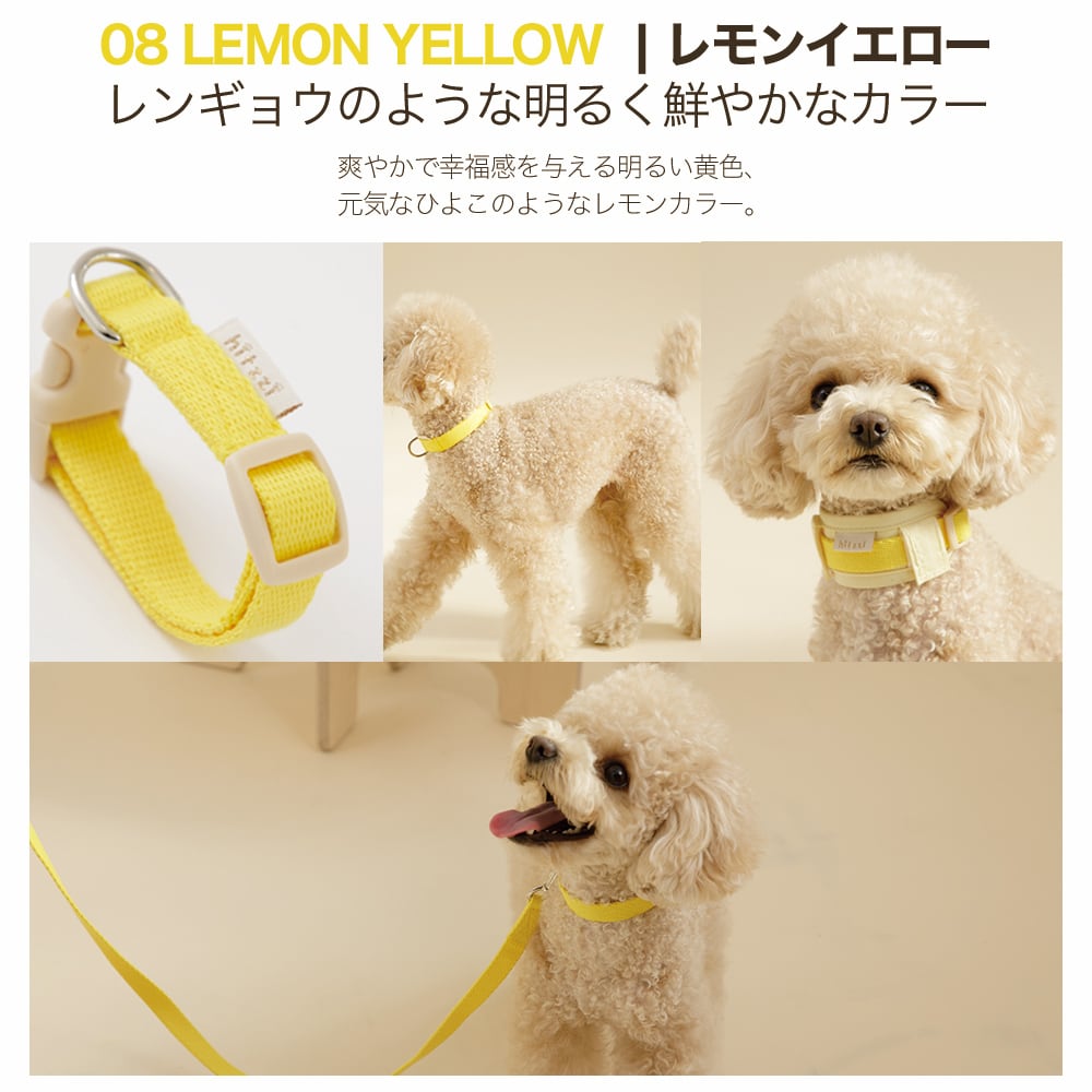 Collar 首輪 | anpi