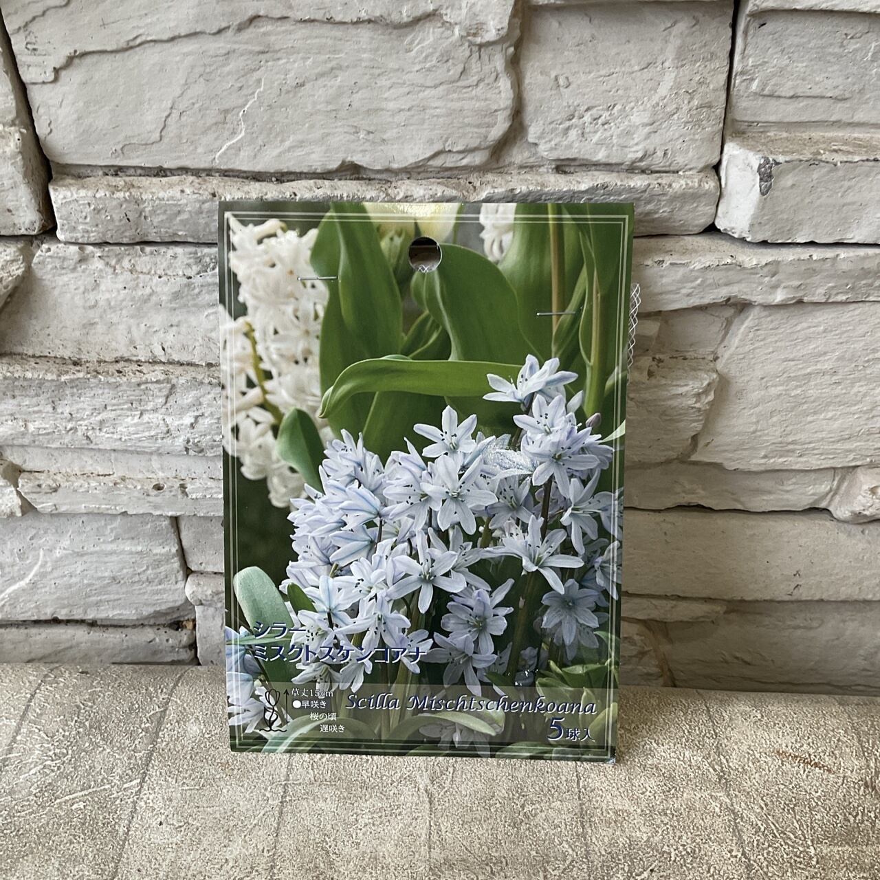 球根 | 橋本種苗園