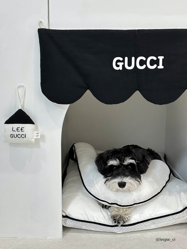 受注制作 Wave loop   Mサイズ  /  ペット カスタムネームタック ドアサイン ガーランド ファブリックオブジェ【韓国ブランドMAYRUA】