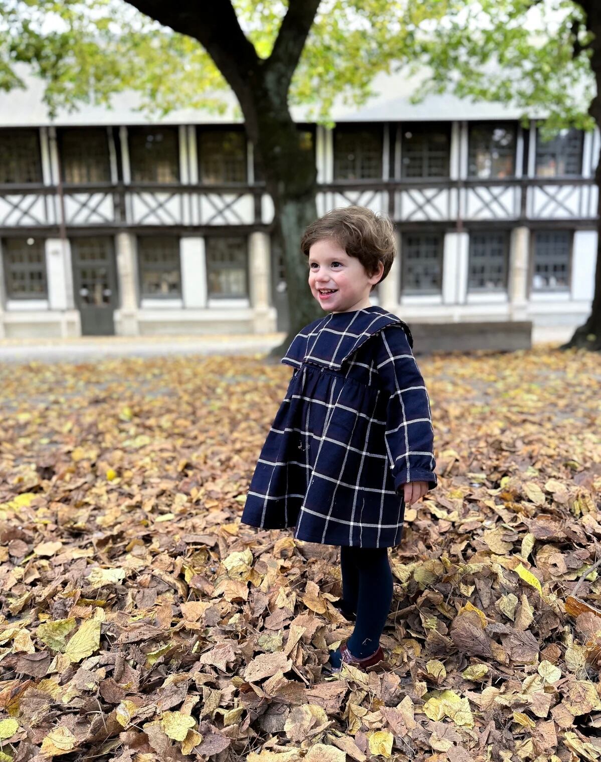 loir paris ブラウス ブルマ セットアップ LOIR Paris トップス ブルマ