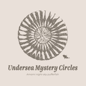 Undersea Mystery Circles-Tシャツ・レディース(バニラホワイト)