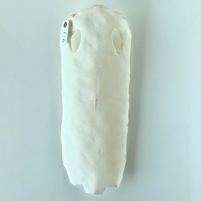 鮫皮問屋